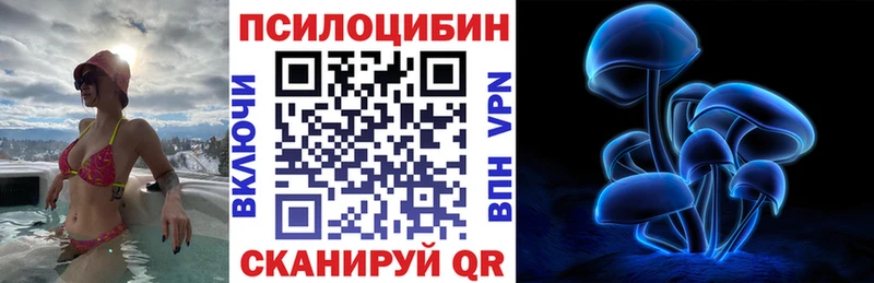 закладки Бирюч Галлюциногенные грибы мухоморы